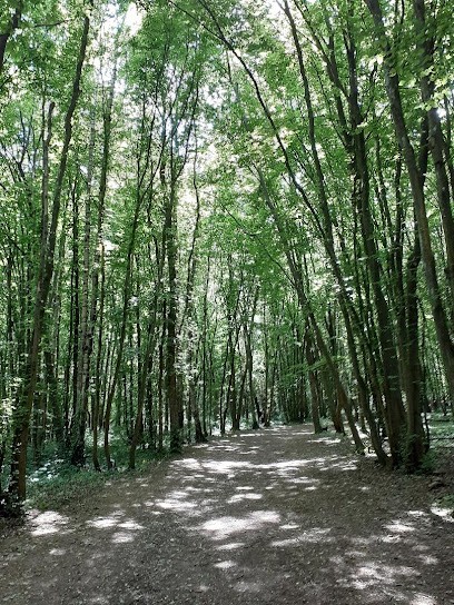 Au Coeur De L'être - Françoise Archen, Praticien de Médecine Alternative à Sains-en-Amiénois
