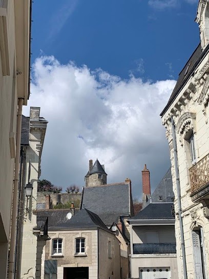 NatuOsens - Naturopathe - Pratique Bye-Bye Allergies - Drainage Lymphatique Manuel Bien être - Soin Ventouses -, Praticien de Médecine Alternative à Luynes