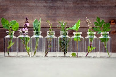 Sophro'zen | Sophrologie, Massage, Yoga, Praticien de Médecine Alternative à La Sauvetat