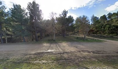 Béatrice devloo Naturopathe région Aix en Provence, Praticien de Médecine Alternative à Peyrolles-en-Provence