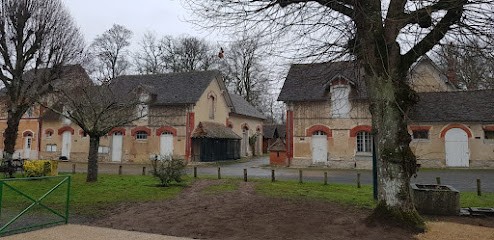 LM Réflexologie 77, Réflexologue à Montcourt-Fromonville