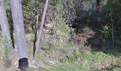 Benjamin Chagot Naturopathe, Praticien de Médecine Alternative à Saint-Sauveur-de-Montagut