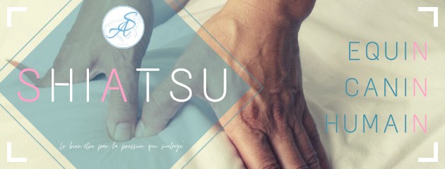 Audrey Shiatsu, Praticien de Médecine Alternative à Metz