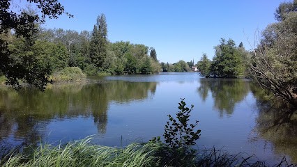 Turlotte Chardot Martine, Praticien de Médecine Alternative à Biache-Saint-Vaast