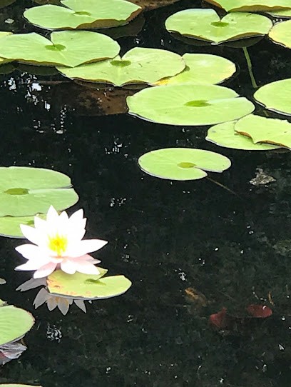 Catherine Poirier, sophrologue, Praticien de Médecine Alternative à Crozon