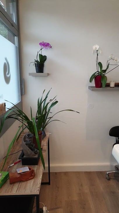 JEAIS MAGNETISEUR EI - Jean Michel ISERN, Praticien de Médecine Alternative à Saint-Marcellin