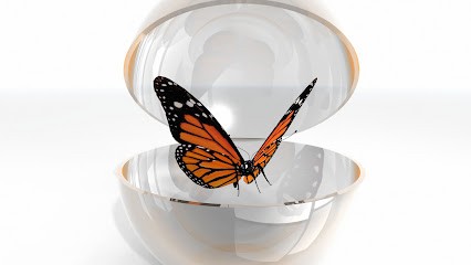 Vallières Hypnose EI, Hypnothérapeute à Clermont-Ferrand