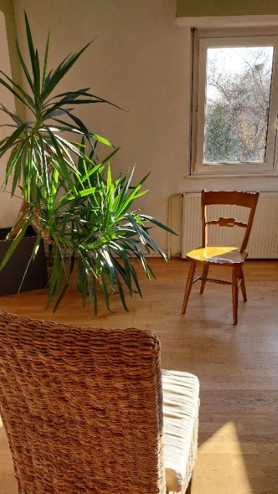Ma Vitalité Sophro, Praticien De Médecine Alternative à Colmar