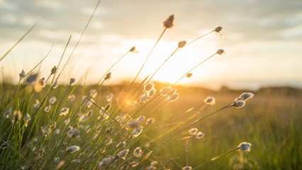 Elodie Larue Sophrologie Angers, Praticien de Médecine Alternative à Angers
