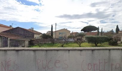 Naturopathe Spécialisée En Troubles Digestifs Et Uro-génitaux - Au Cabinet Et En Visio, Praticien de Médecine Alternative à La Valette-du-Var