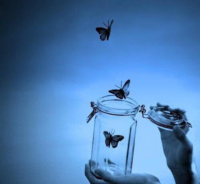 Carine Klein Hypnopraticienne : Experte En Sevrage Tabagique Auprès De L'institut Européen De Sevrage Tabagique., Praticien de Médecine Alternative à Weitbruch