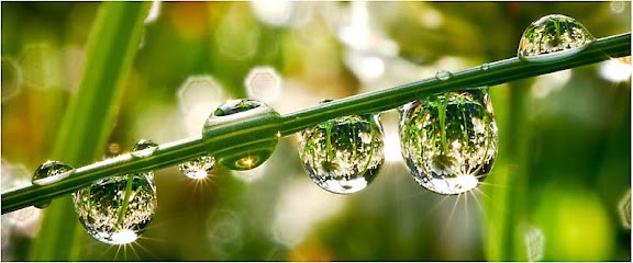 Sandra Campoy Naturopathe, Praticien de Médecine Alternative à Genas