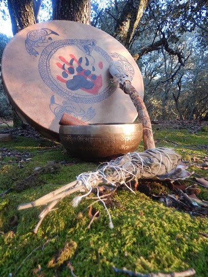 Médecine De L'Ours, Praticien de Médecine Alternative à Graveson