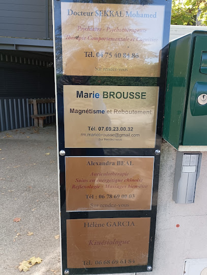 Marie Brousse - Magnétisme, Reboutement Et Posturologie, Réflexologie Énergétique Et Conseils En Fleurs De Bach, Praticien De Médecine Alternative à Valence