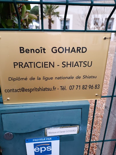Esprit Shiatsu, Praticien de Médecine Alternative à Saint-Cyr-sur-Loire