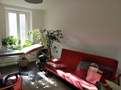 MIR Magnétisme, Praticien de Médecine Alternative à Luxeuil-les-Bains