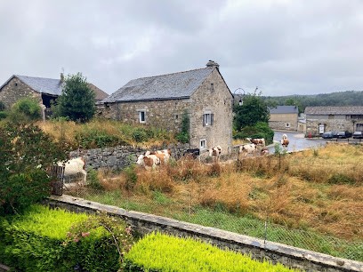Benjamin Chagot Naturopathe, Praticien de Médecine Alternative à Albaret-Sainte-Marie
