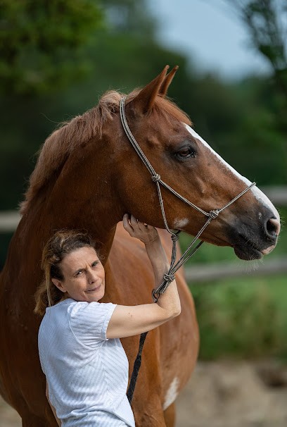 Nadège SARTELET Sophrologue, Praticien de Médecine Alternative à Bourron-Marlotte