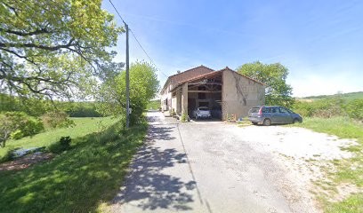 Praticienne En Santé Naturelle, Praticien de Médecine Alternative à Moulayrès