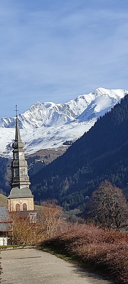 OsmoZic, Praticien de Médecine Alternative à Gruffy