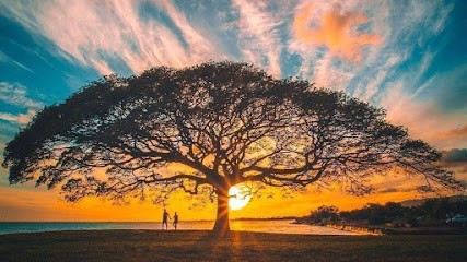 Arnaud Bourcier - Magnétiseur, Praticien En Hypnose & PNL, Rebouteux, Soins énergétiques, Praticien de Médecine Alternative à Pont-l'Abbé