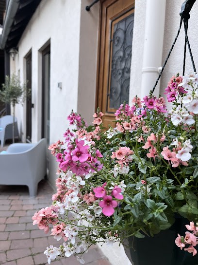 Adina GHIDIONESCU - Naturopathe FÉNA - Axe Intestin-cerveau -Maladie D'Alzheimer Précoce -Stress -Emotions -Anxiété -Sommeil, Praticien de Médecine Alternative à Rosheim