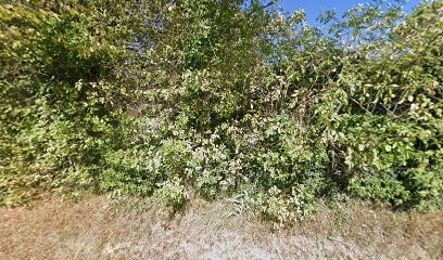 ancrage hypnose, Hypnothérapeute à Chonas-l'Amballan