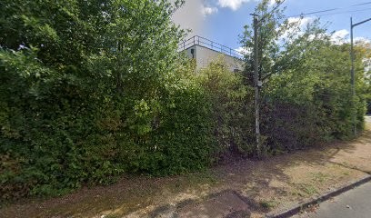 Onco Drug Personalized Medicine, Praticien de Médecine Alternative à Béhuard