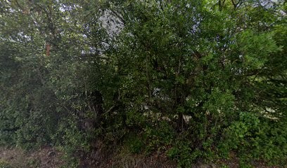 Sacomant Petitcolas Sylvie - Guérisseuse Rebouteuse Magnétiseuse, Praticien de Médecine Alternative à Cénac