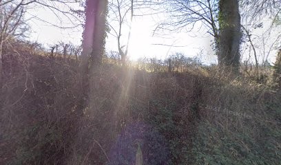 Berhed Legros, Praticien de Médecine Alternative à Noyant-d'Allier