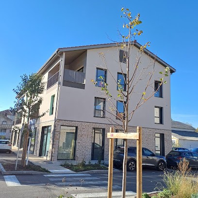 Sylvie Rocci - Naturopathe Psycho-Énergéticienne, Praticien de Médecine Alternative à Saint-Georges-de-Reneins