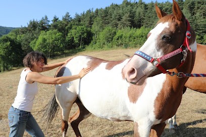 Camille Jaubert Shiatsu, Praticien de Médecine Alternative à Saint-Félicien
