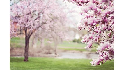 Séverine Bouix - Psychothérapeute, Praticien de Médecine Alternative à Charmes-sur-Rhône