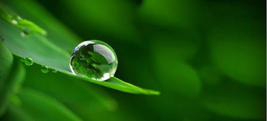 Antoine Mazeau Naturopathe, Praticien de Médecine Alternative à Longvic