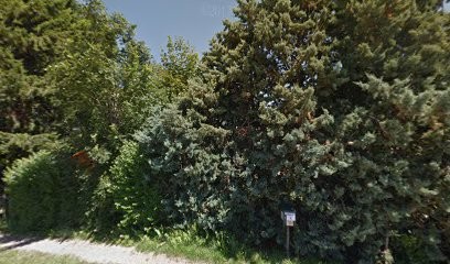 Fernandez Denise, Praticien de Médecine Alternative à Champis