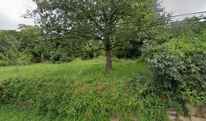 Claire Monfort I Energeticien I Magnetiseur I Guérisseur, Praticien de Médecine Alternative à Sougraigne