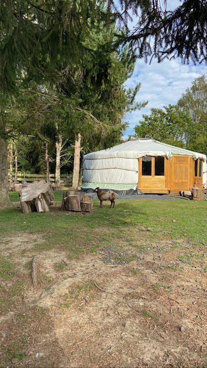 La Sophro-Yourte ( Ateliers Et Soins) & Médiation Animale à La Ferme- Valériane Savary, Praticien de Médecine Alternative à Farbus