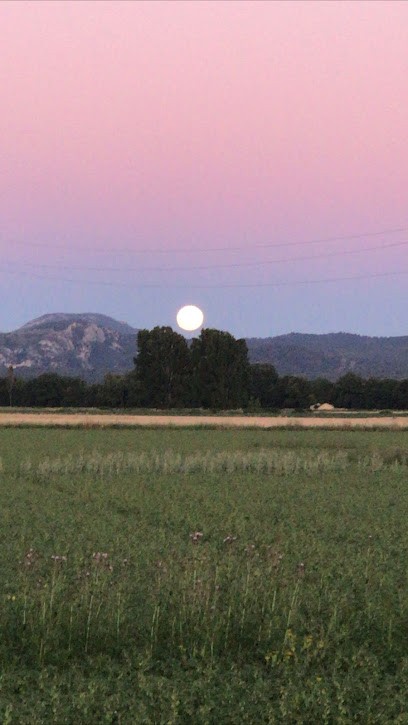 Pascale Vert Magnétiseur - Barreur De Feu - V.I.E 🏻, Praticien de Médecine Alternative au Puy-Sainte-Réparade