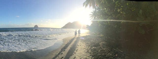 Yolaine-So-Phrologie, Praticien de Médecine Alternative à Longueil-Sainte-Marie
