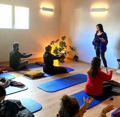 Nathalie Royer Hypnose, Hypnothérapeute à Saint-Vincent-de-Tyrosse