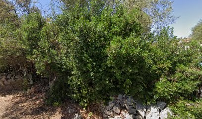 Martine Lacaze Brefel, Praticien de Médecine Alternative à Porto-Vecchio