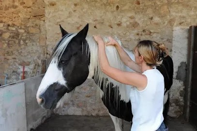 Ydalis Anima, Praticien de Médecine Alternative à Montenoison