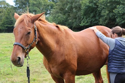Ekigaï - Solenne Geffroy - Soins énergétiques Humain Et Animaux ; Communications Animales, Praticien de Médecine Alternative à Vern-sur-Seiche