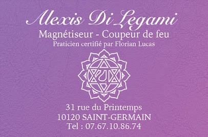 Alexis DI LEGAMI Magnétiseur - Troyes, Praticien de Médecine Alternative à Saint-Germain