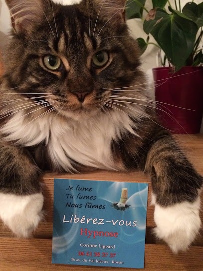 Corinne LIGEARD Psychopraticienne Sophrologie Hypnose - Arrêt Tabac, Hypnothérapeute à Royan