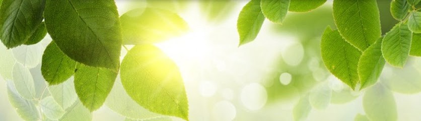 SophroVIEnne, Praticien de Médecine Alternative à Vivonne