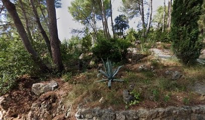 Mon Jardin Sophro - Karine Costa Sophrologue - Sollies Pont -Toulon - Hyeres - VAR, Praticien de Médecine Alternative à Solliès-Pont
