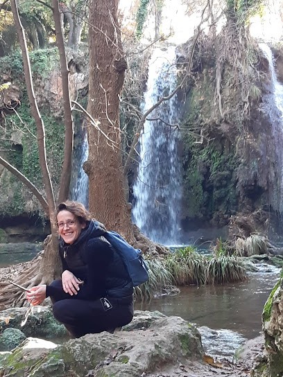 Natur'alli / Allison Burette Naturopathe, Praticien de Médecine Alternative à Toulon