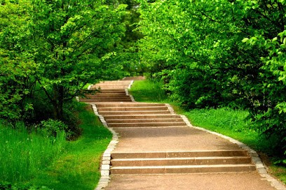 Ferreira Isabelle, Praticien de Médecine Alternative à Villers-sur-Coudun