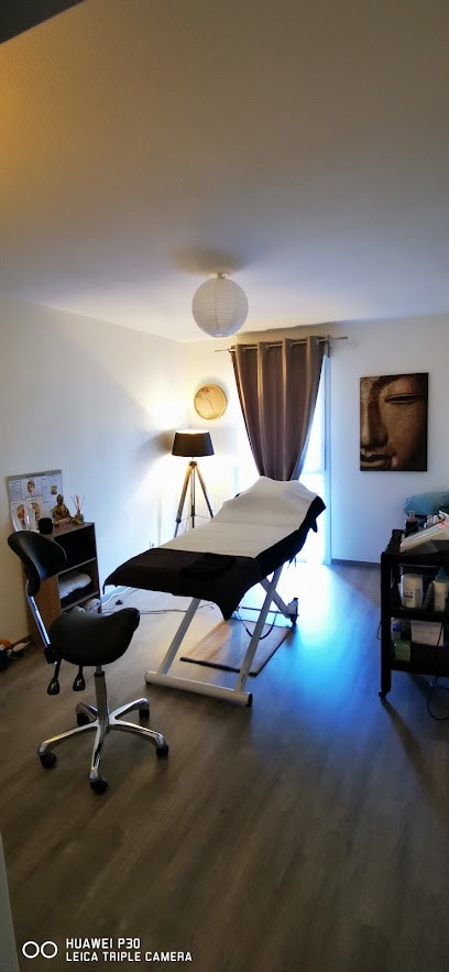 LuxoReflex'and Co - Luxopuncture Chambéry Réflexologie EFT Drainage Lymphatique RF Fo, Praticien de Médecine Alternative à Saint-Jeoire-Prieuré